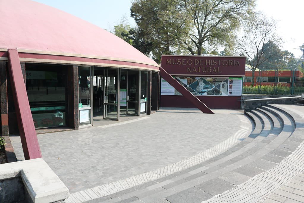 Museo de Historia Natural